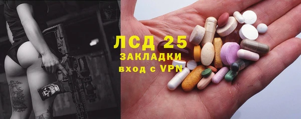 крисы Краснослободск