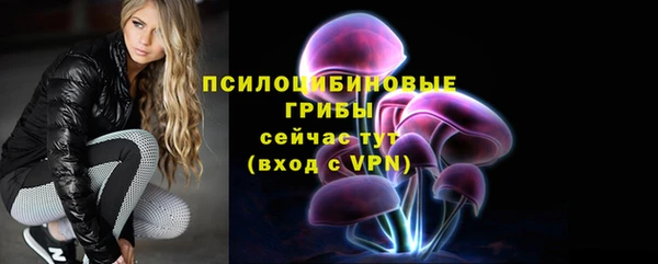 крисы Краснослободск
