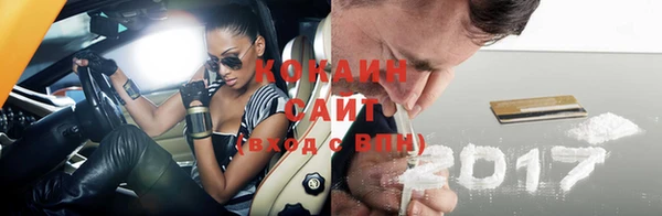 дурь Коряжма