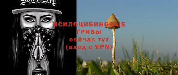 a pvp Костерёво